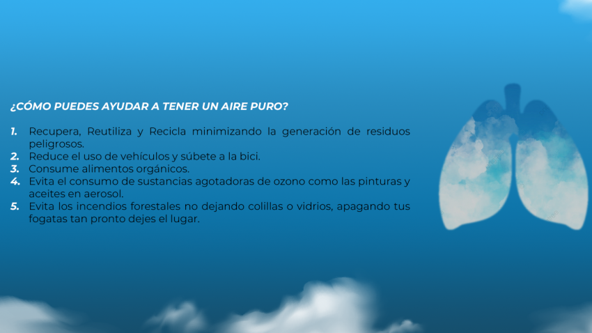 Día Internacional del Aire Puro - Ecotips