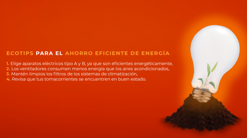 Día Mundial del Ahorro de Energía