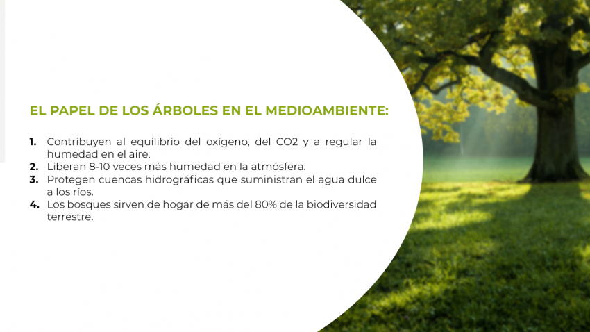 Día Mundial del Árbol
