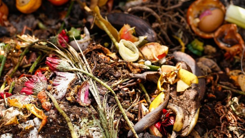 Los alimentos que usted bota y son una amenaza para el medioambiente